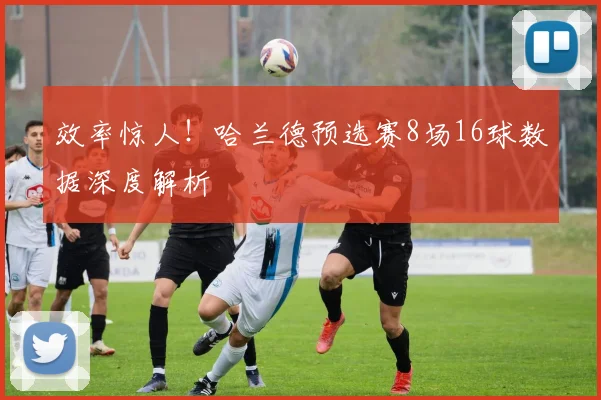 效率惊人!哈兰德预选赛8场16球数据深度解析