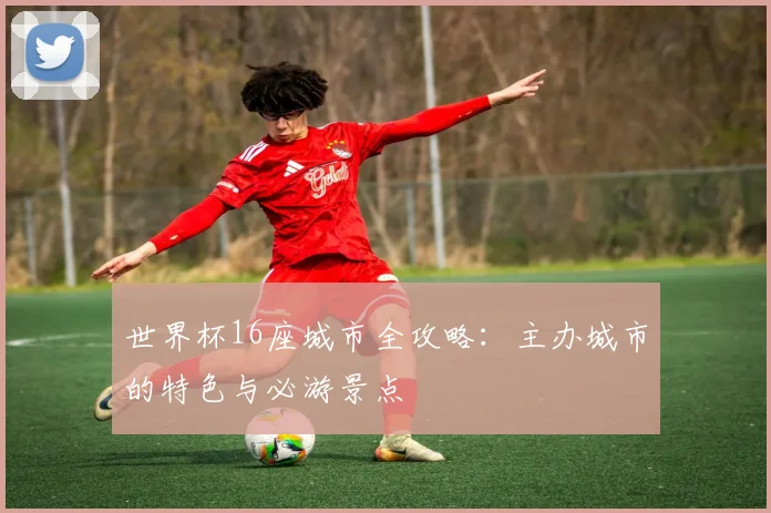 世界杯16座城市全攻略：主办城市的特色与必游景点
