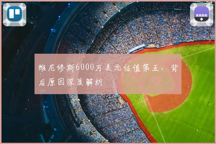 维尼修斯6000万美元估值第五,背后原因深度解析