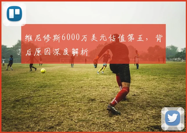 维尼修斯6000万美元估值第五,背后原因深度解析